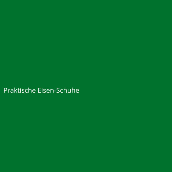 Praktische Eisen-Schuhe